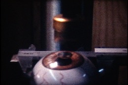 �j���ƒm�b�M