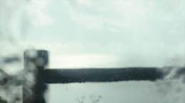 ���e�̒n�}