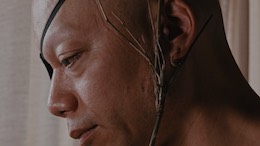 �����₩�Ɏ���ł���