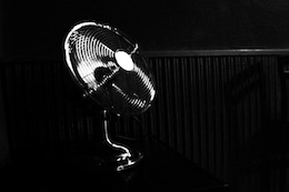 囮の愛 冥い悟り