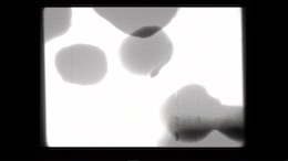 �V���A��