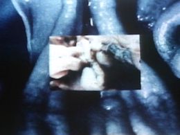 ���Ԍn5 �`������