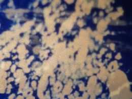 ���Ԍn9�`�����I