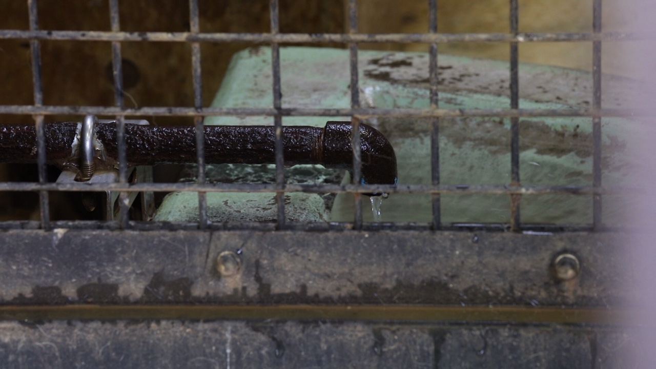 ���ق̂��߂̉f�� Excerpt 002