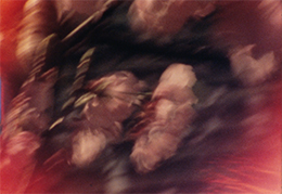 Twelve Seasonal Films