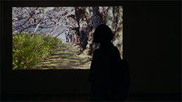 コールヒストリー