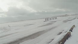 コールヒストリー