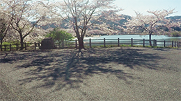 コールヒストリー