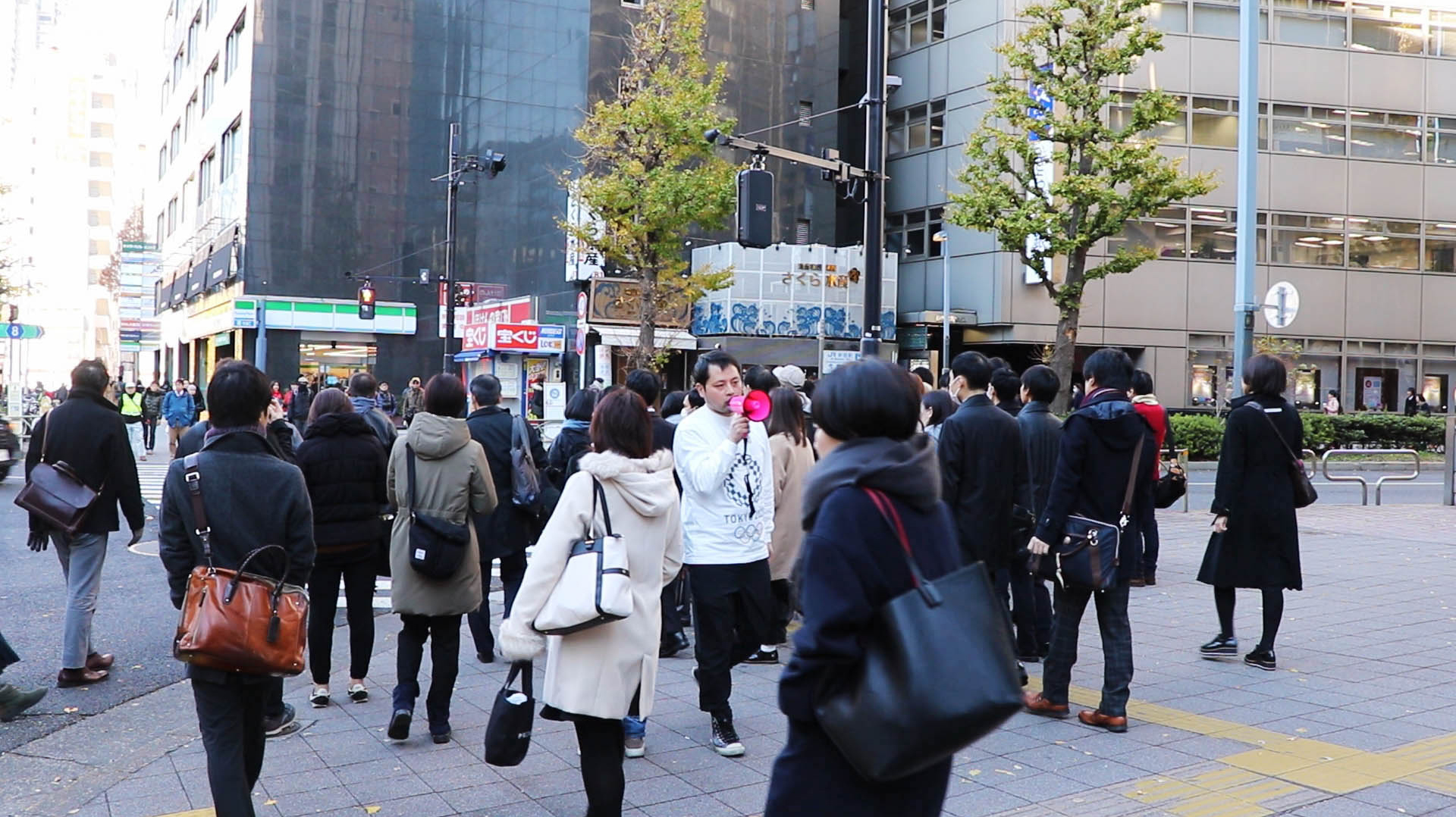 美しくあいまいな日本の私たちt