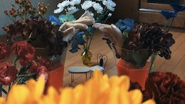 ���\�̃��N�G��