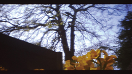 Four Years of Miller - the Third Year