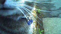 Four Years of Miller - the 4th Year