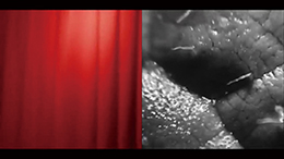 The Embryo's Dream, Upon the Moon