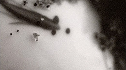 it follows it passes on