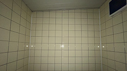 Never Dried Tried Again