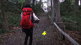 母よ、アニメを見よう