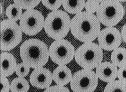 「理性に帰る」に帰る