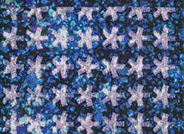 フレームライン