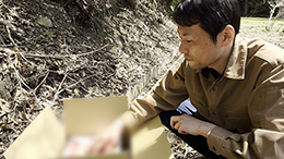 ���R����m�X�^���a�A