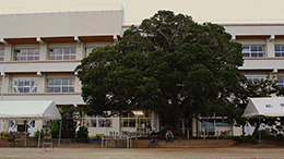 ����Peace�ƉJ