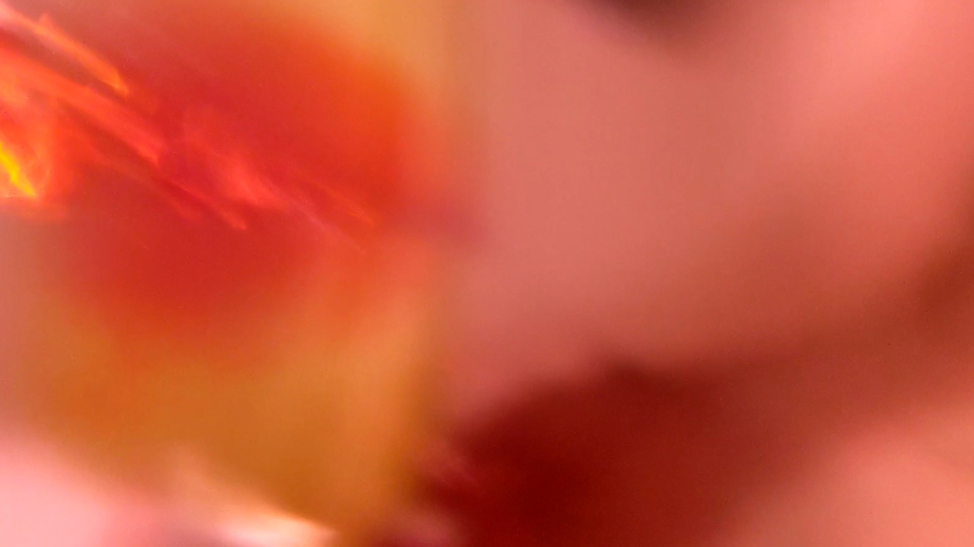 セイジミゾフォビア