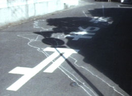 �l�̂�����