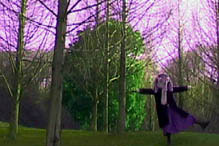 �X�̂ނ���