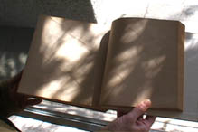 ���͖؂�Y���