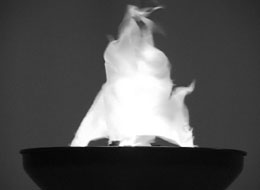 �L���C�Y��