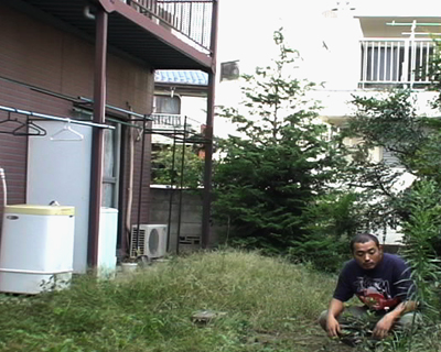 �u�r�[���v�i�쉮��������A�F��˕��j