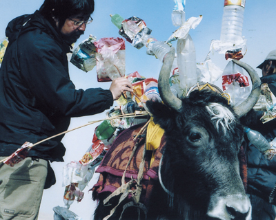 チベット・ネパール・インド・上海　天空からの絨毯プロジェクト