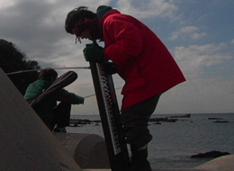 �[�C���痈�鉹