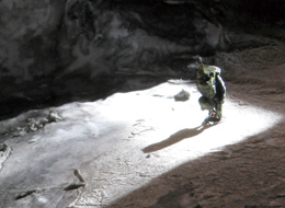 ���������鉖