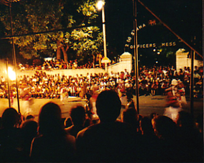 Elements �_ Elephants