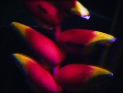 ���}�����[��