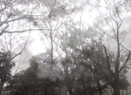 �V�m�m�� �I���S �C�V�d�`��