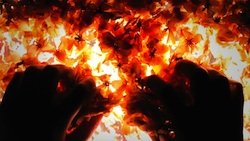 The surface of the earth