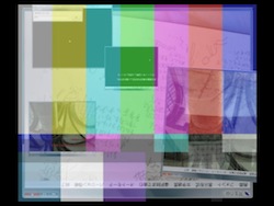 �o���̎P ��e�̏�