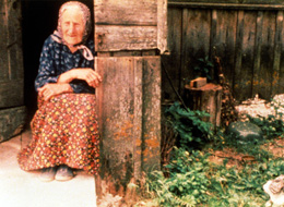 ���g�A�j�A�ւ̗��̒ǉ�