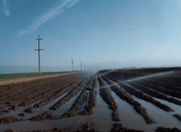 �Z���g�����E���@���[