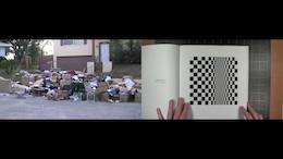 �l�p�̒��̉^��