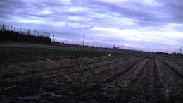 �y�l�� asphalt