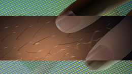 ���A�����Y�E�s��