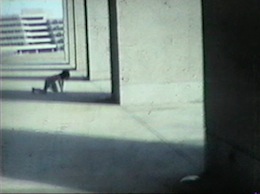 �W���j�[�E�N���[��