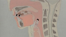 声が出てきた人