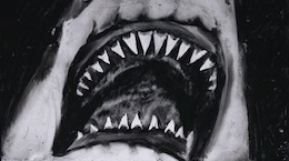 �v�����Z�X�E�f�B�U�X�^�[�E���[�r�[