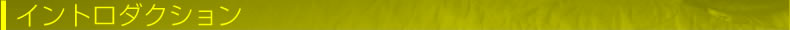イントロダクション