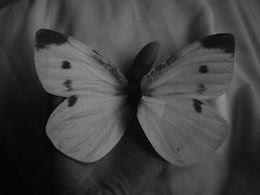 ���傤���傤����