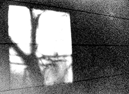 �U�E�h���[���E�l�b�N�E�M���`���h