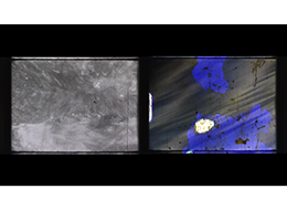 �����F���E�i�`����